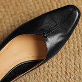 Evelyn – Tocuri Clasici Premium